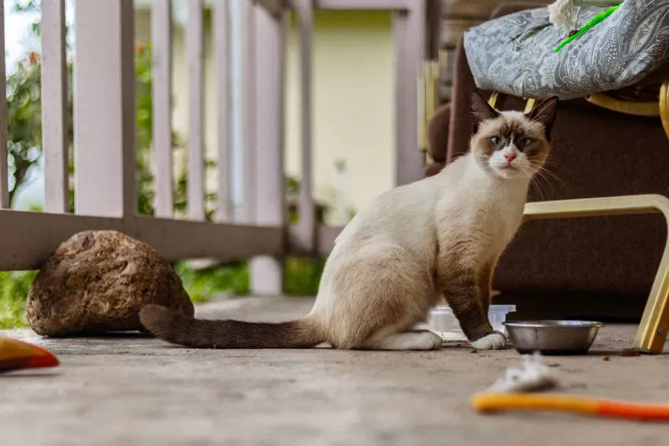 How Hunger and Previous Human Contact Shape Their Behavior (Image Credits: Pexels)