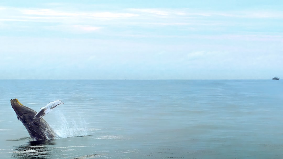 Policy Crosscurrents (Image Credits: Unsplash)