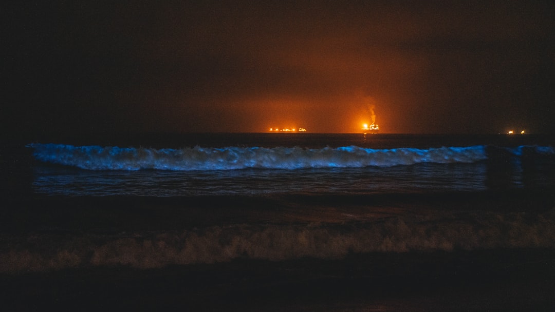The Future Landscape (Image Credits: Unsplash)
