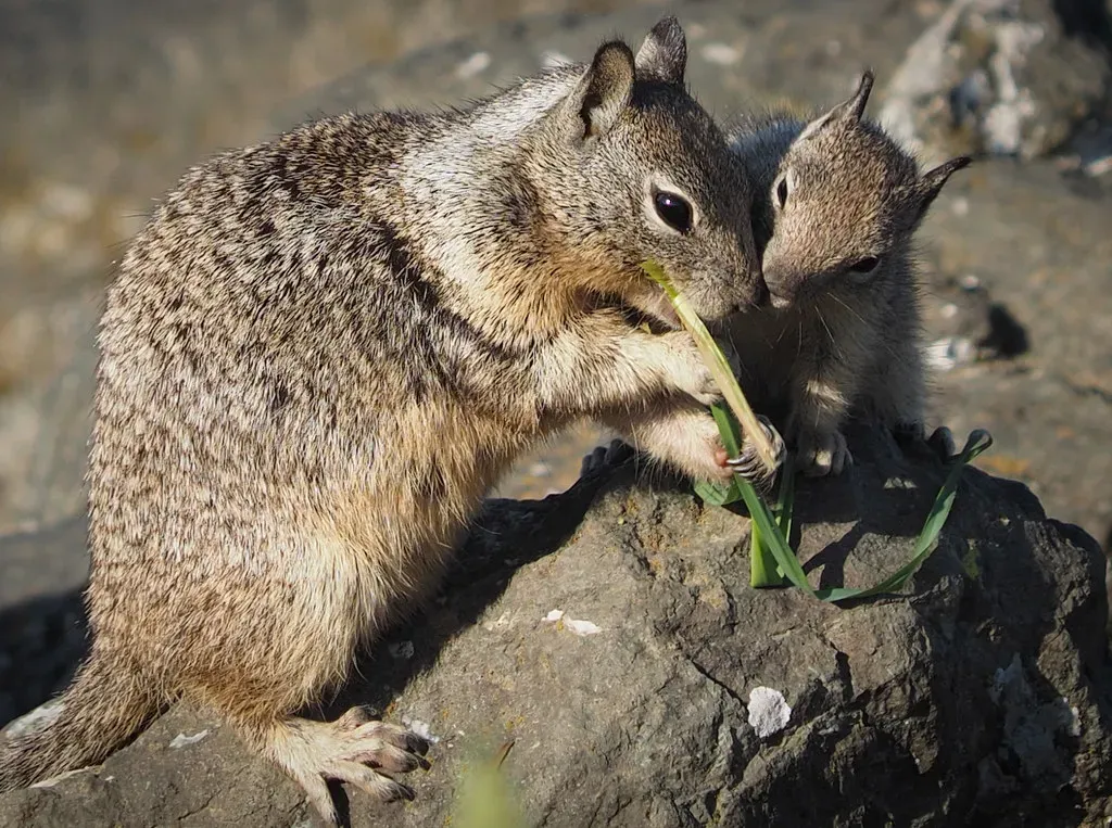 11. You Belong to a Group That Turned Parenting Into a Survival Strategy (Ingrid Taylar, Flickr, CC BY 2.0)