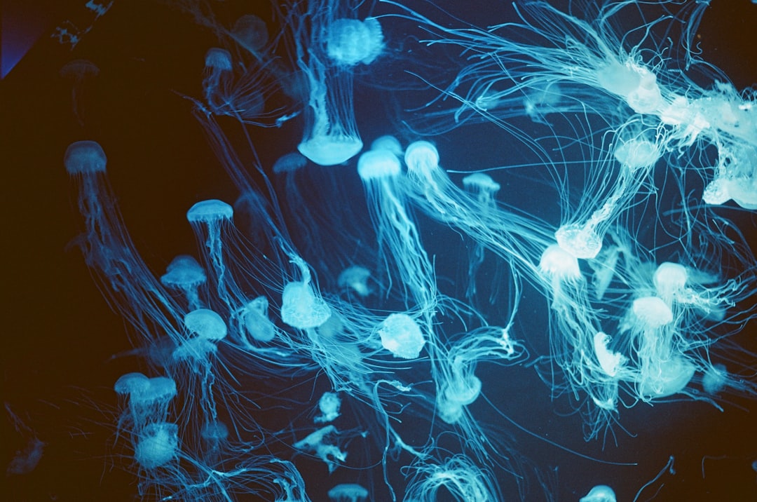 Pisces (February 19 - March 20): The Dreamy Jellyfish (Image Credits: Unsplash)