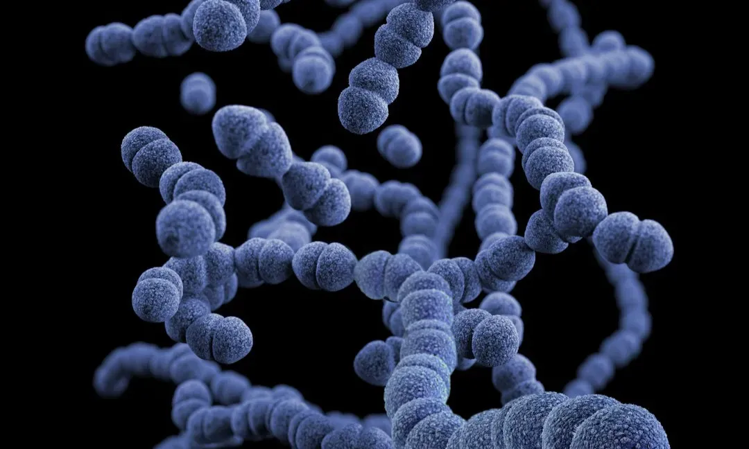 Our inner ecosystem: the human microbiome (Image Credits: Unsplash)