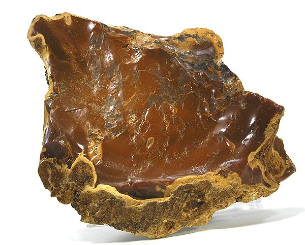 Hot Springs That Work Fast (Image Credits: Wikimedia)