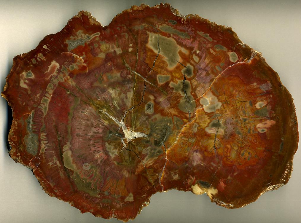 What “Stone” Really Means (Image Credits: Wikimedia)