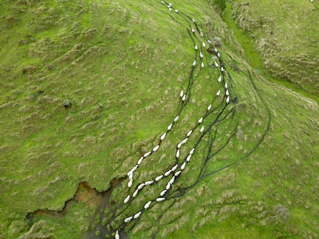 The Platte River System - Nebraska's Narrowing Giant (Image Credits: Unsplash)