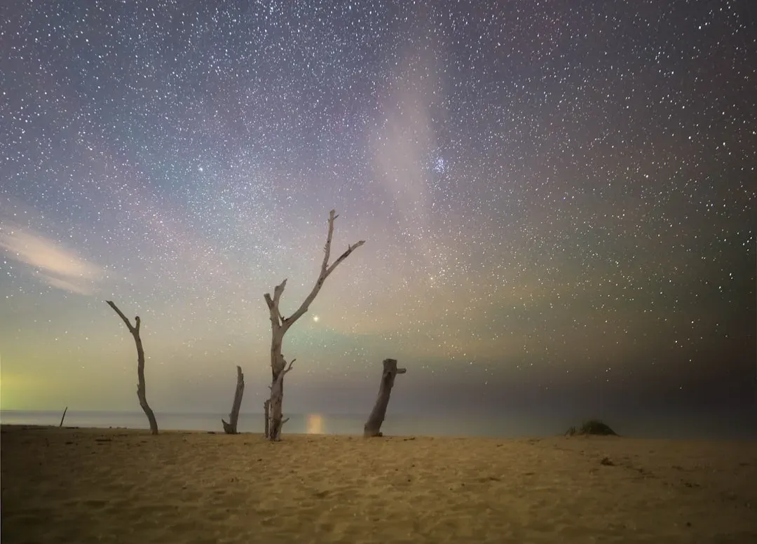 From Beach to Cosmos: A New Way to Look at the Sky (Image Credits: Unsplash)