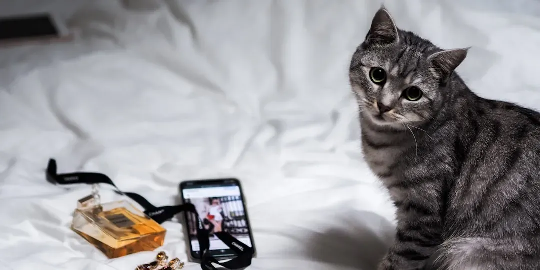 AI Is Now Decoding the Languages We Could Never Hear (Image Credits: Unsplash)