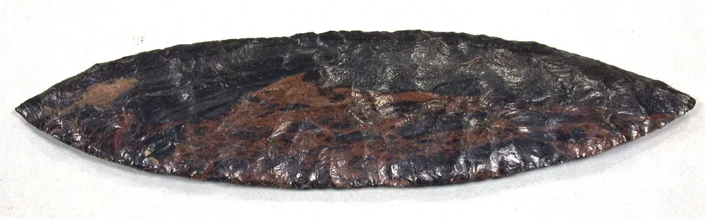 Ultra‑Pure, Razor‑Sharp Obsidian Surgical Blades (Image Credits: Rawpixel)