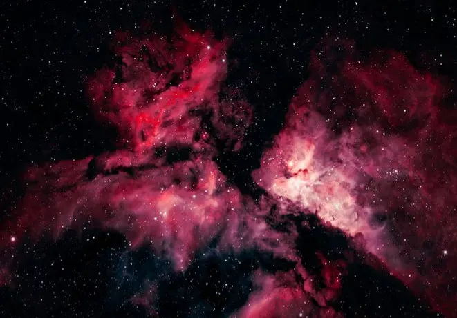 Why This Mystery Matters for Us (Image Credits: Pexels)