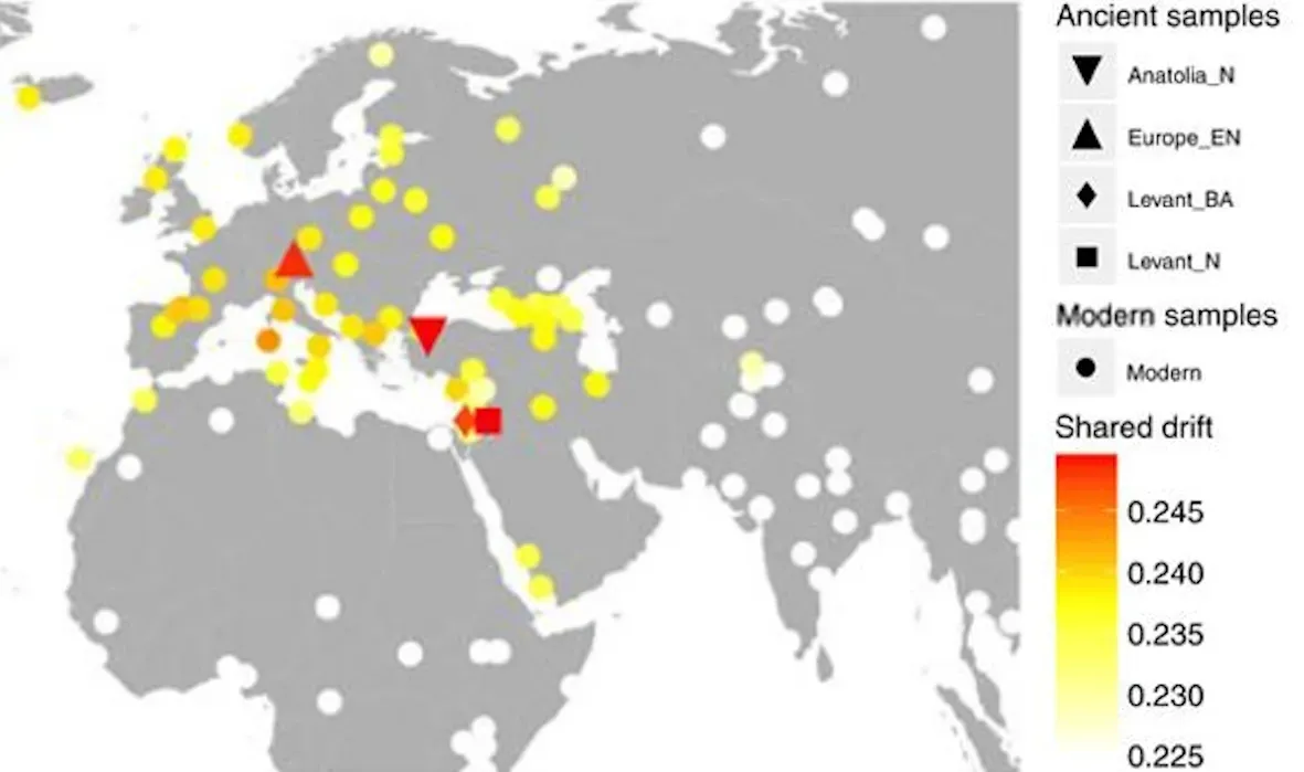 Harappan Urban Planning and the Science of Everyday Life (Image Credits: Wikimedia)