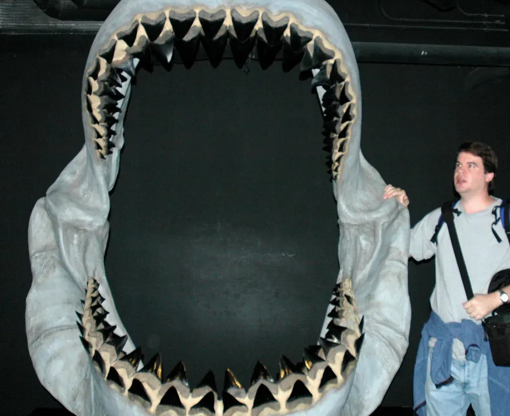 Its Teeth Worked Like Industrial-Grade Saw Blades (Image Credits: Flickr)