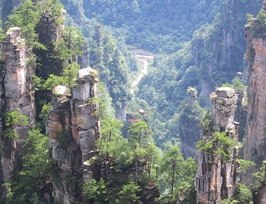 Wulingyuan’s Stone Pillars: Gravity-Defying Forest of Quartzite Spires (Image Credits: Wikimedia)