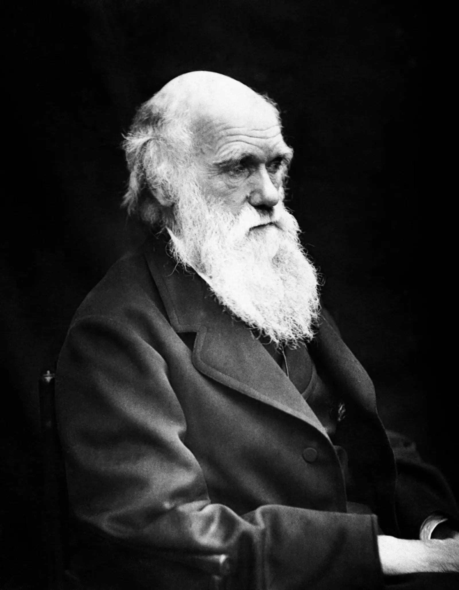 Charles Darwin: Evolution's Reluctant Revolutionary (Image Credits: Wikimedia)