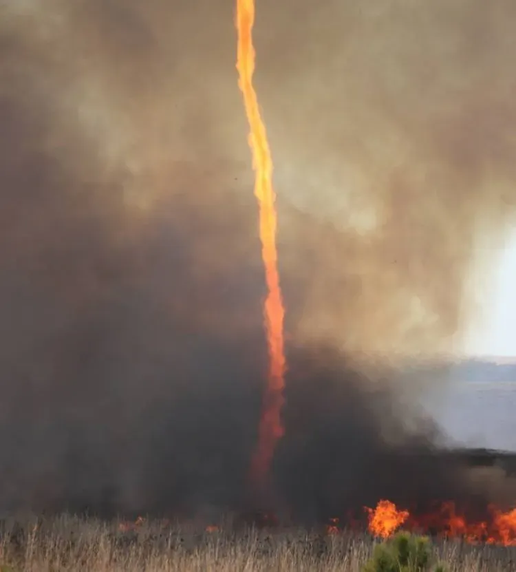 What Exactly Is a Fire Tornado? (Image Credits: Wikimedia)