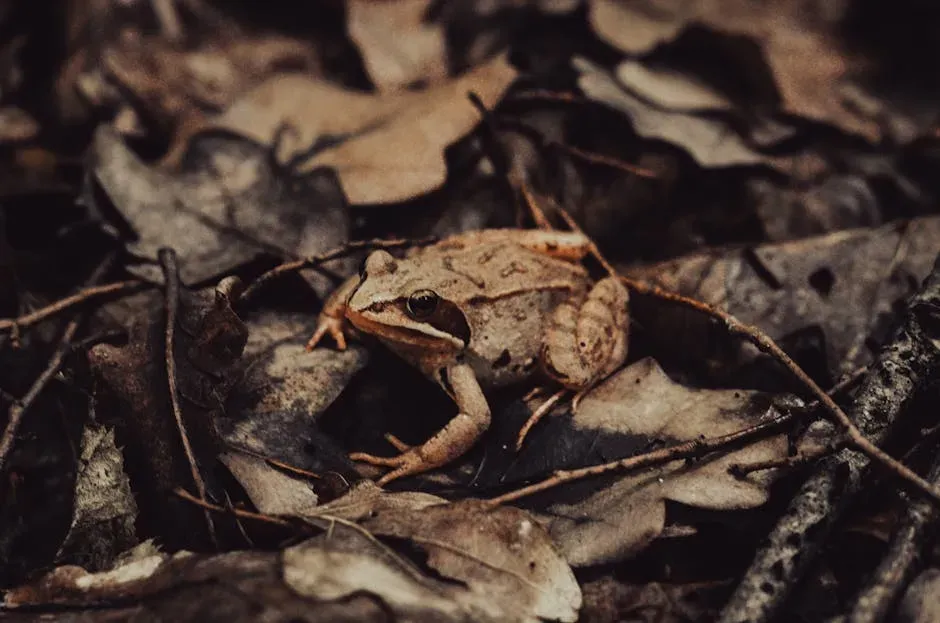 10. Wood Frogs: Amphibians That Freeze and Thaw Back to Life (Image Credits: Pexels)