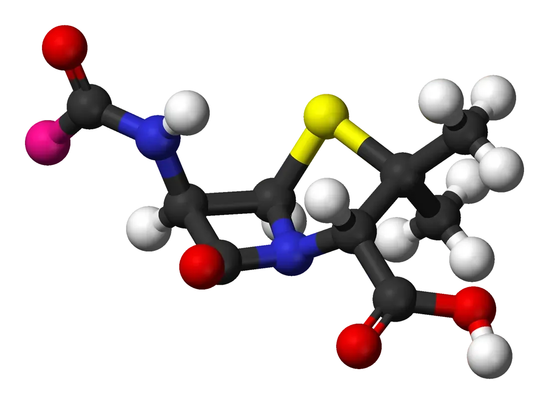 1. Penicillin: The Mold That Saved Millions (Image Credits: Wikimedia)