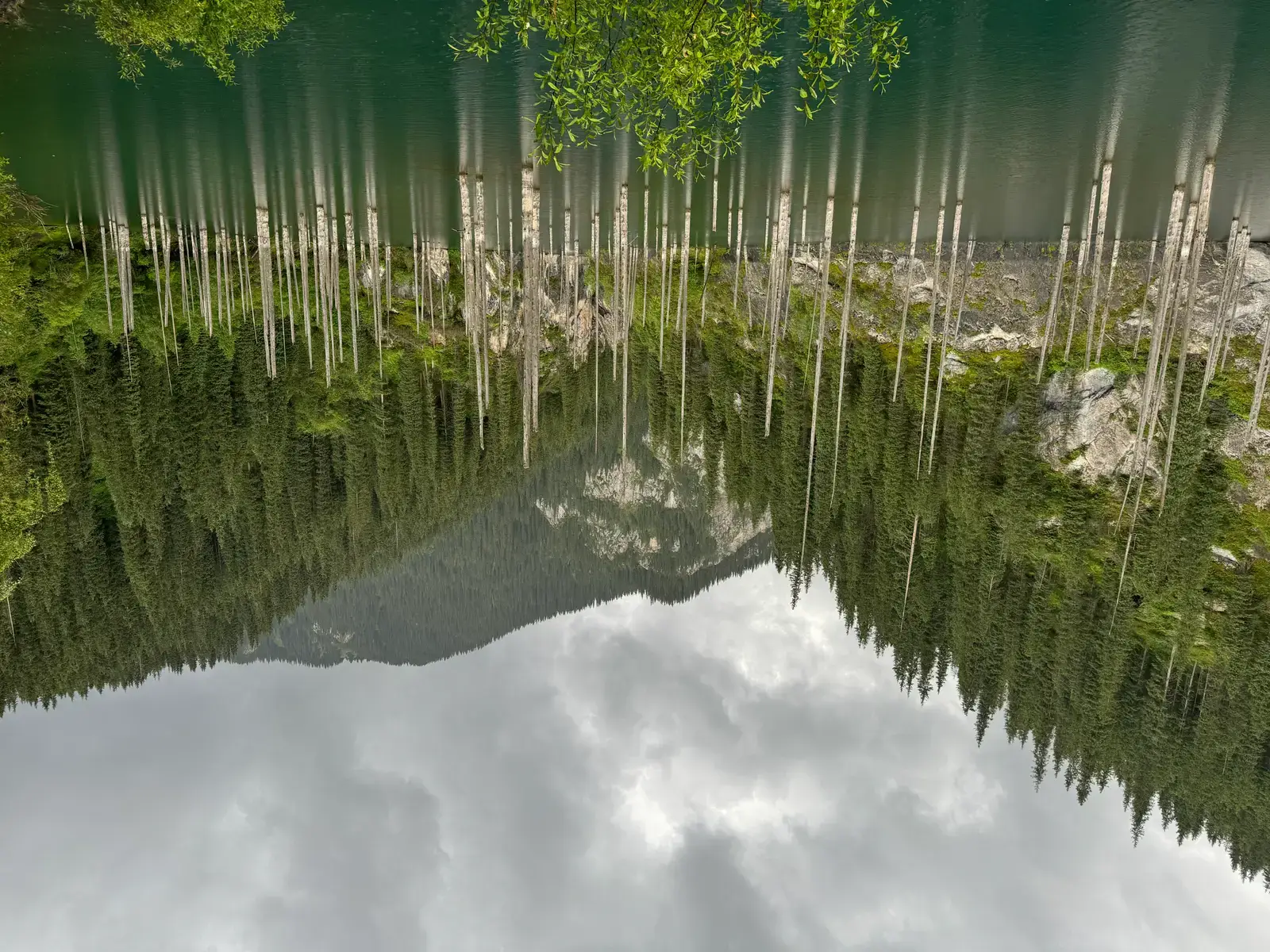 The Underwater Forest of Lake Kaindy, Kazakhstan (Image Credits: Wikimedia)