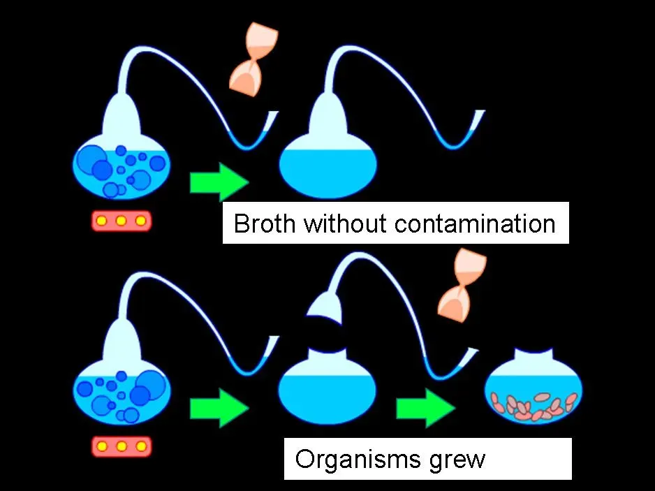 #13 - Invisible Germs, Not Bad Air, Cause Disease (By Carmel830, Public domain)