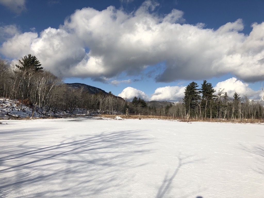 Maine and New York's Adirondack Region (Image Credits: Wikimedia)