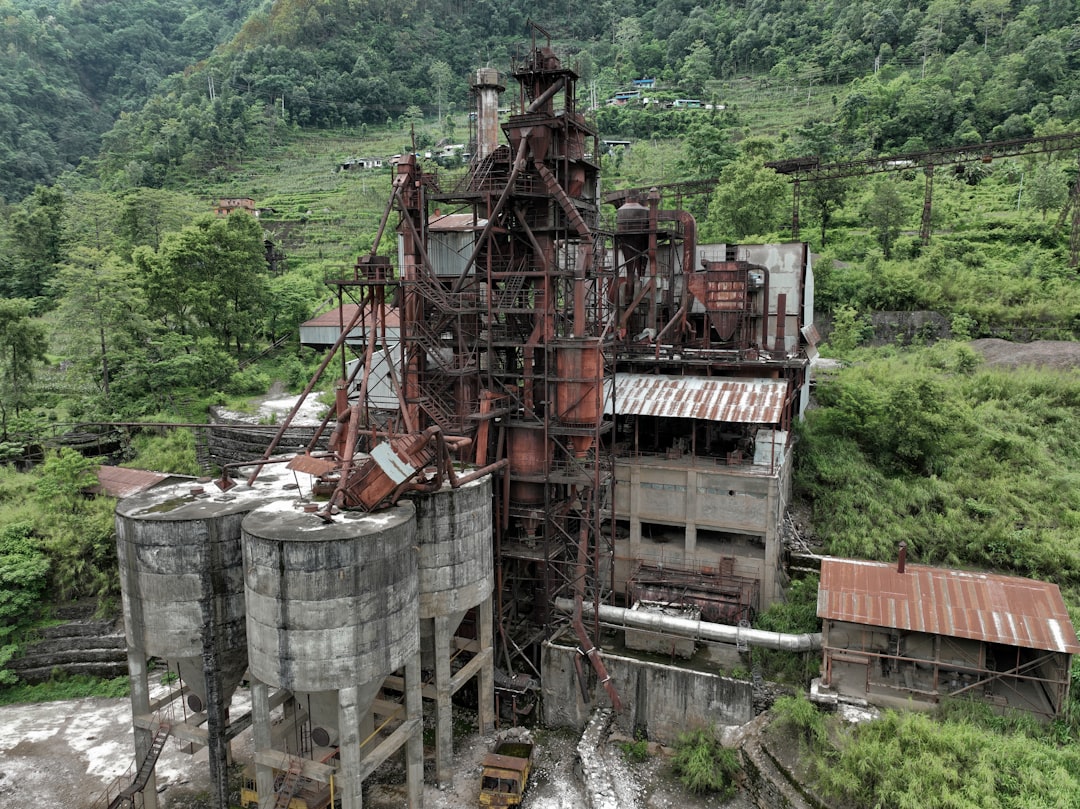 Industrial Development Threatens Critical Habitat (Image Credits: Unsplash)
