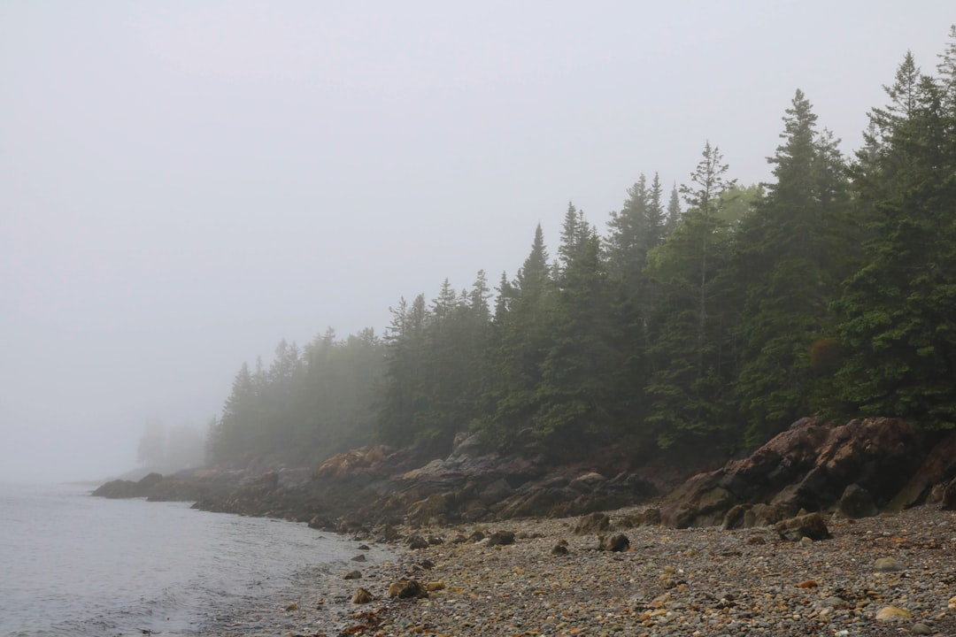 Maine's Coastal Spruce-Fir Forests - Acadia National Park (Image Credits: Unsplash)