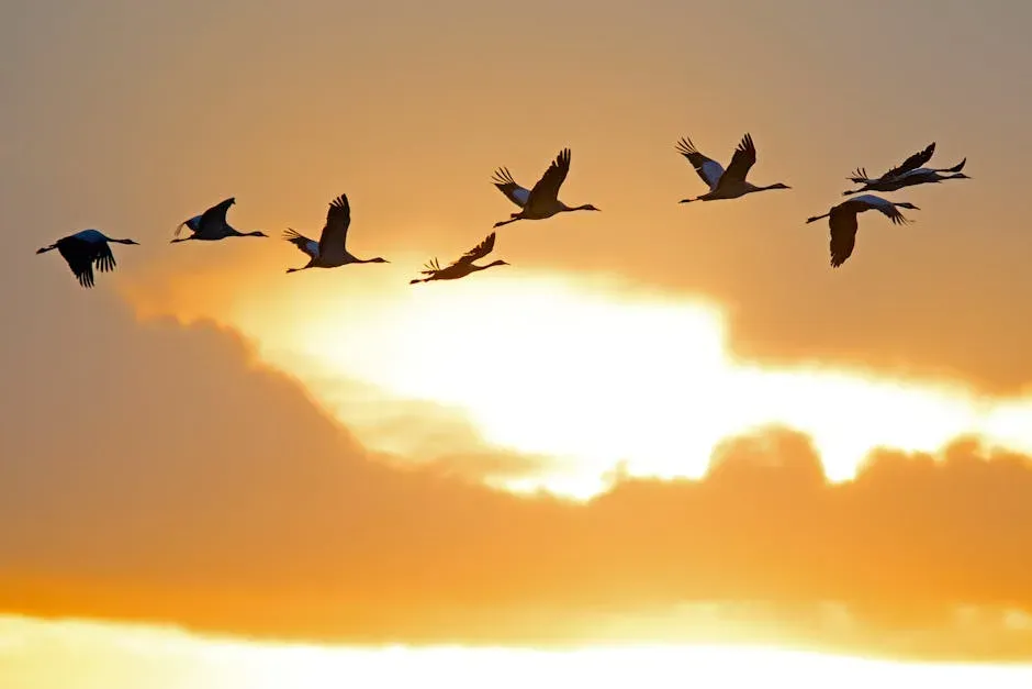 The Shocking Distances Birds Travel (Image Credits: Pexels)