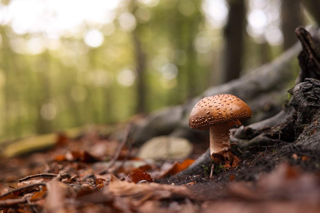 Why It Matters (Image Credits: Unsplash)