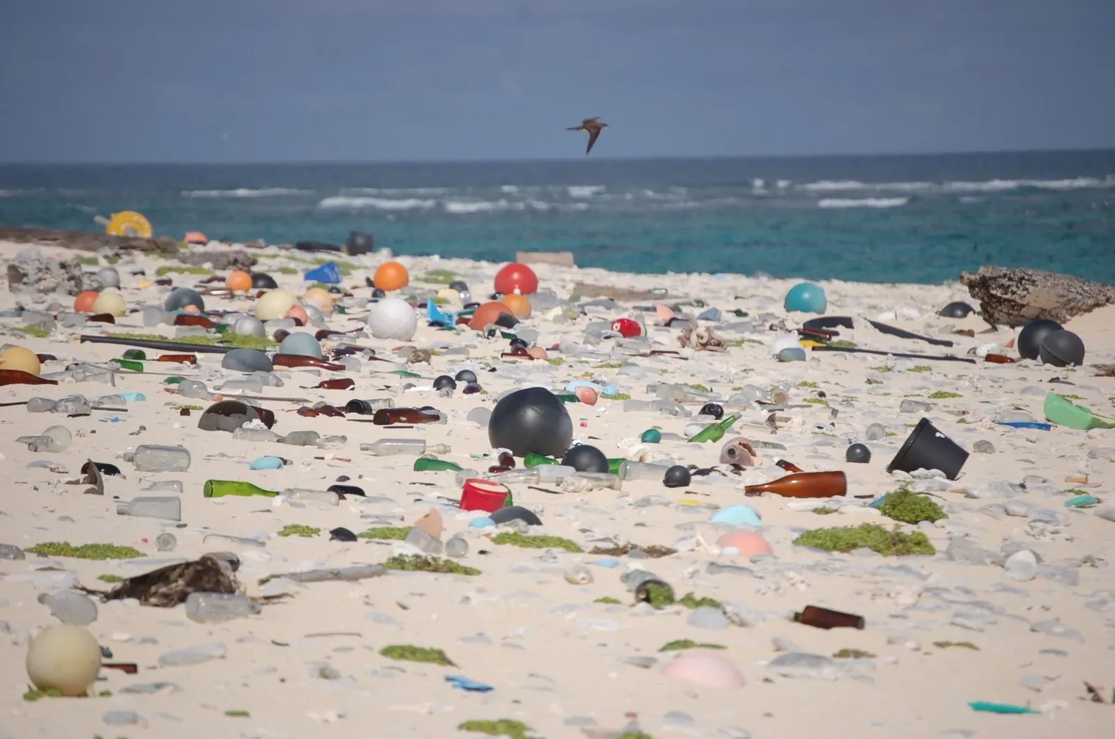 #11 Plastic Debris and the Uncomfortable Truth the Sea Keeps Sending Back (Beach strewn with plastic debrisUploaded by Dolovis, Public domain)