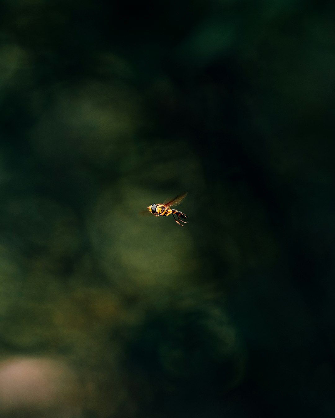 Into the Wetlands: Fieldwork and First Glimpse (Image Credits: Unsplash)