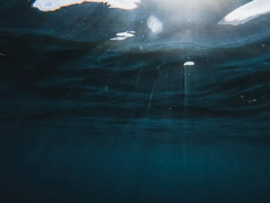 Conclusion: Learning to Swim in Your Own Depths (Image Credits: Pexels)