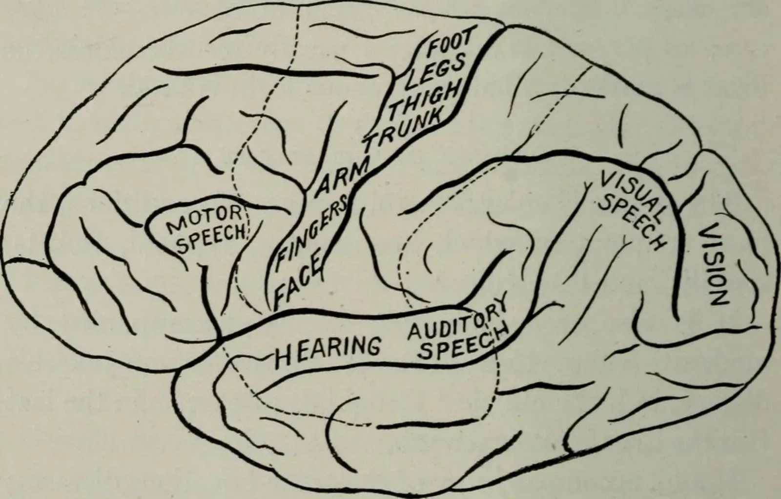 The Hidden Clues: When Time Suddenly Slows Down (Image Credits: Wikimedia)
