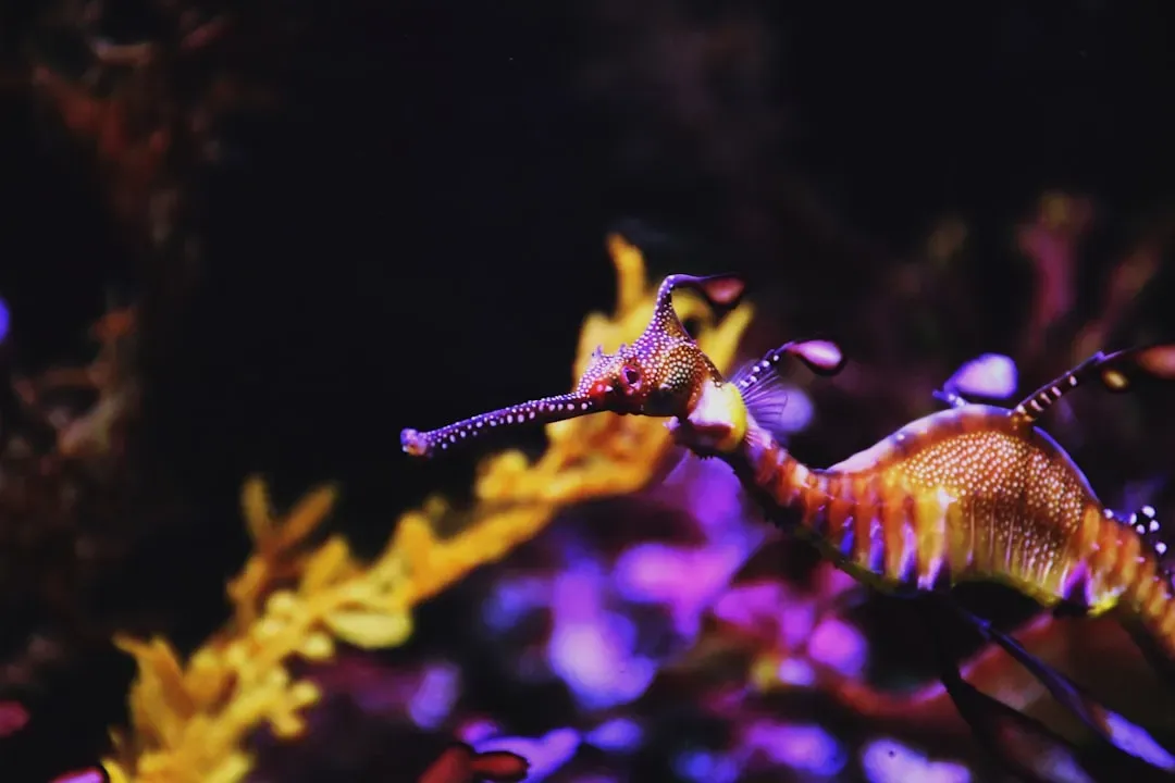 7. They Have No Teeth and Vacuum Up Tiny Prey (Image Credits: Unsplash)