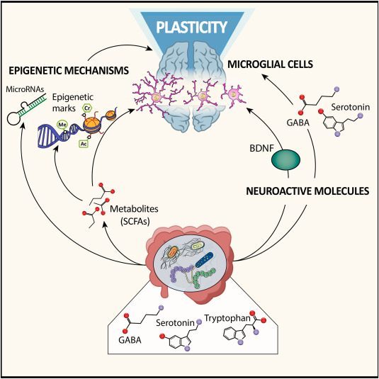 The Changes Intensify Over Time and Practice (Image Credits: Wikimedia)