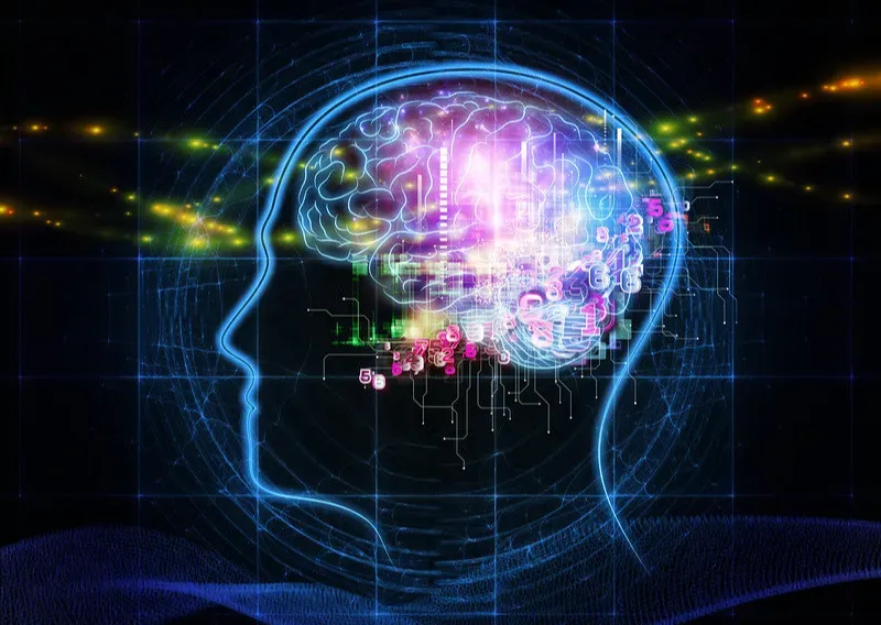 Mental Health Breakthroughs: Brains Finally Get Equal Attention (Image Credits: Flickr)