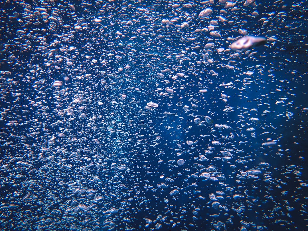 Ocean Temperatures Disrupting the Food Chain (Image Credits: Unsplash)