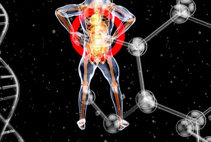 Homeostasis: Keeping the Internal Balance (Image Credits: Unsplash)