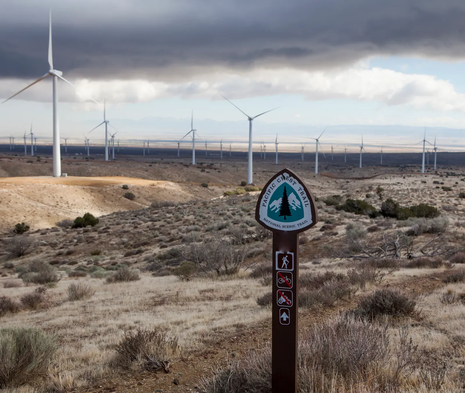 The Pacific Crest Trail: Beauty, Risk, And A Perfect Myth-Making Machine (By Bob Wick of BLM, CC BY 2.0)