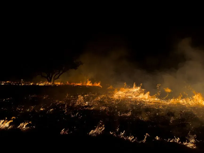 Opinionated Conclusion: Ancient Fire, Modern Assumptions (Image Credits: Pexels)