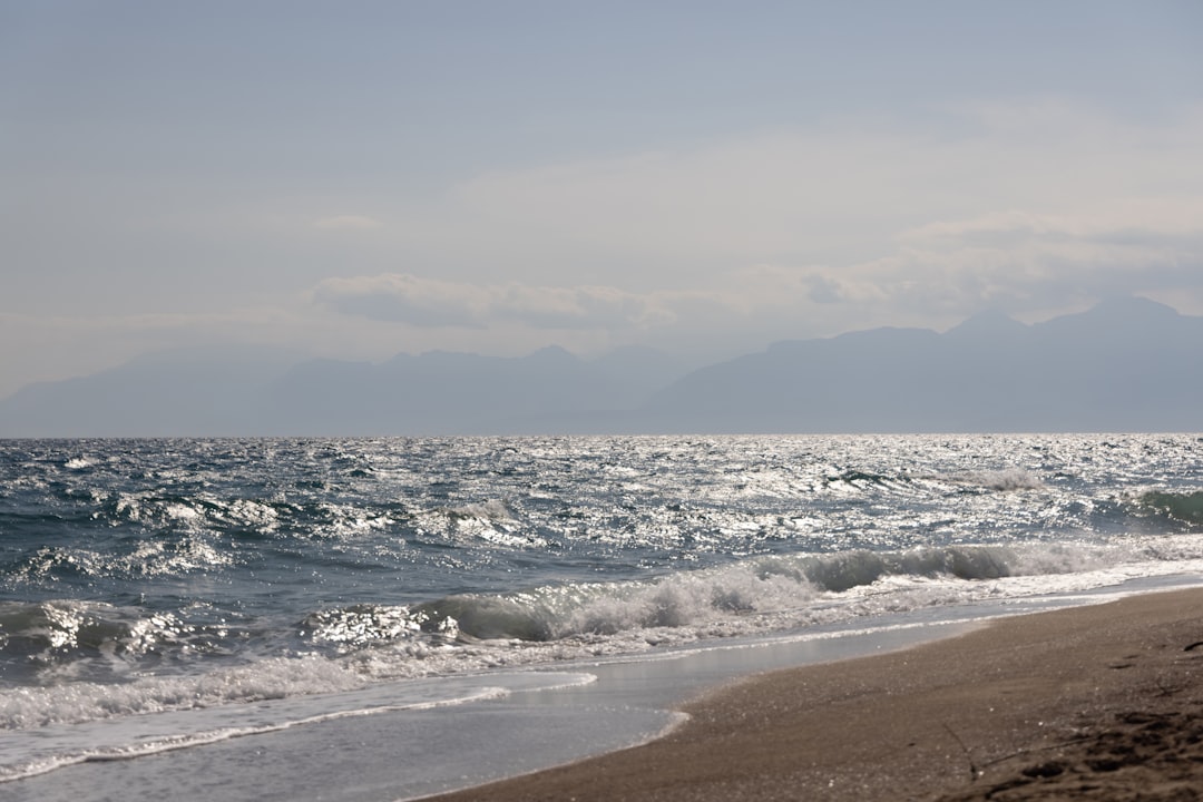 How You Can Help (Image Credits: Unsplash)