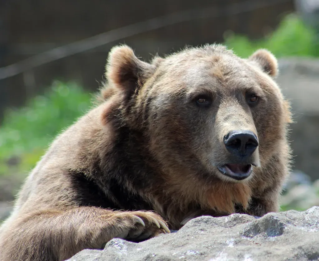 Conclusion (Image Credits: Flickr)