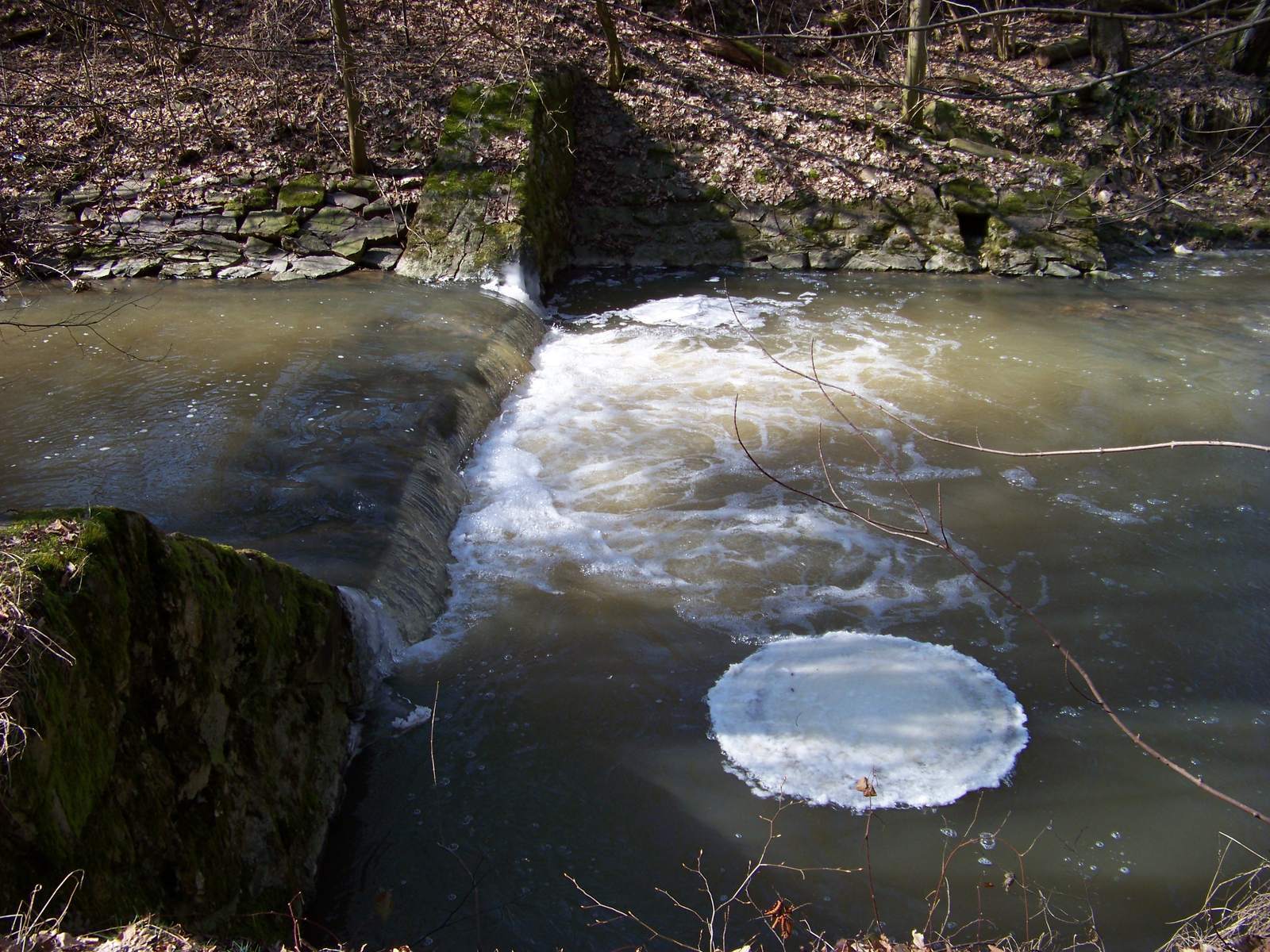 Ice Circles: Nature's Perfect Geometry (Image Credits: Wikimedia)