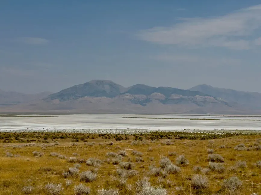 Dust, Toxins, and Your Lungs: The Lakebed Problem (Image Credits: Pexels)