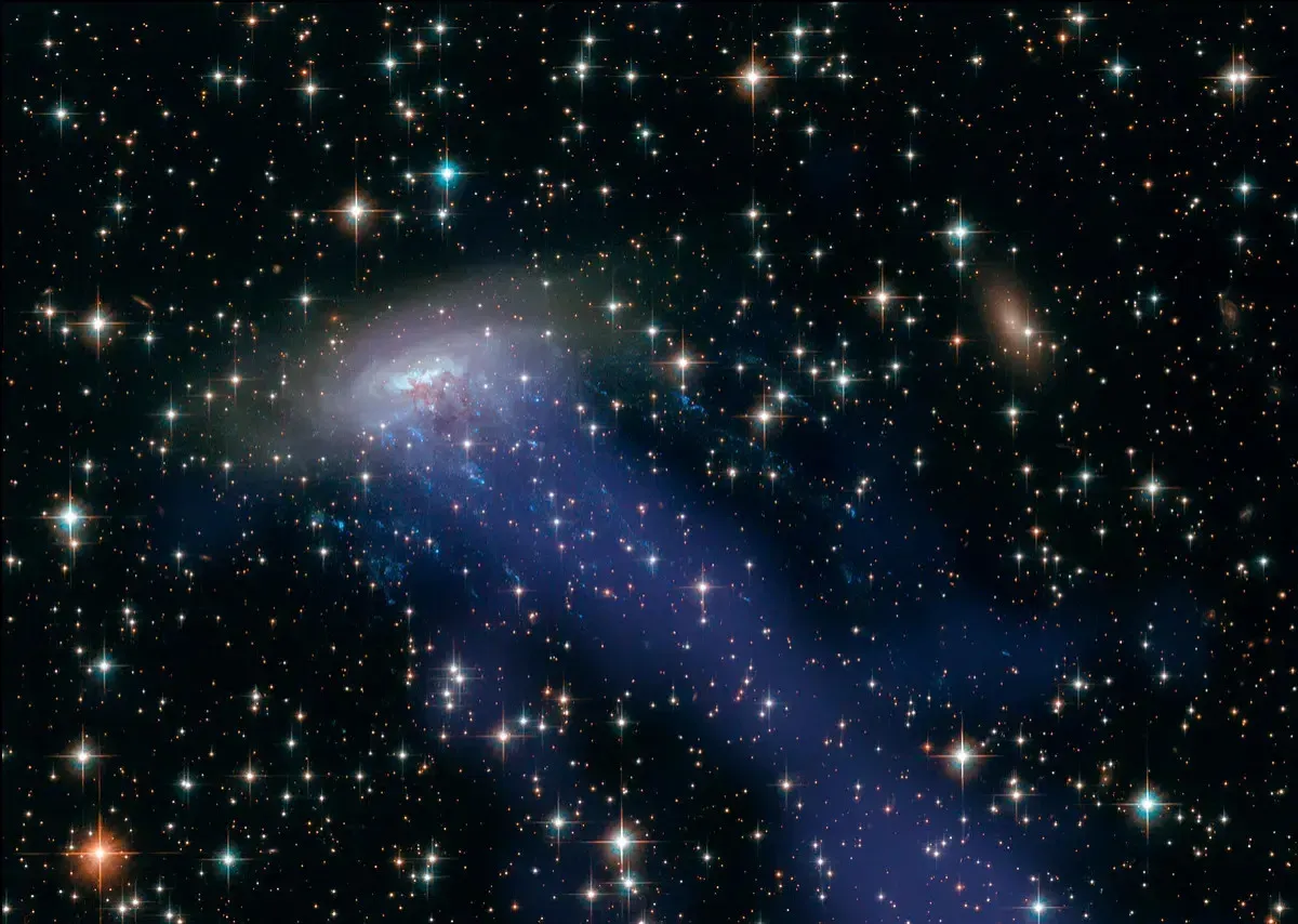 Reimagining “Life” Beyond Our Own Definition (Image Credits: Rawpixel)