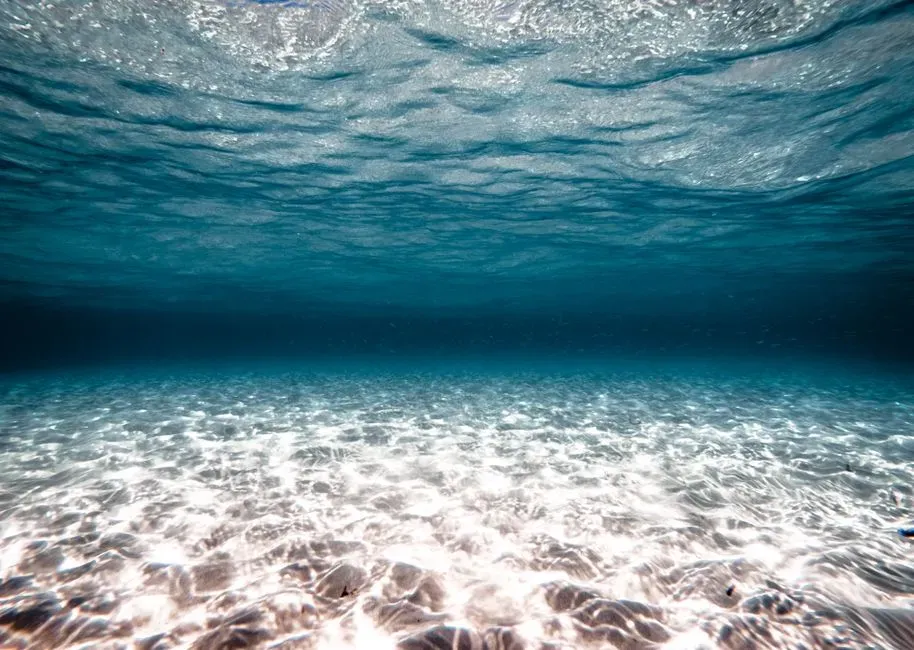 5. Caribbean Wall Lines Sitting Beyond Any Hurricane's Reach (Image Credits: Pexels)