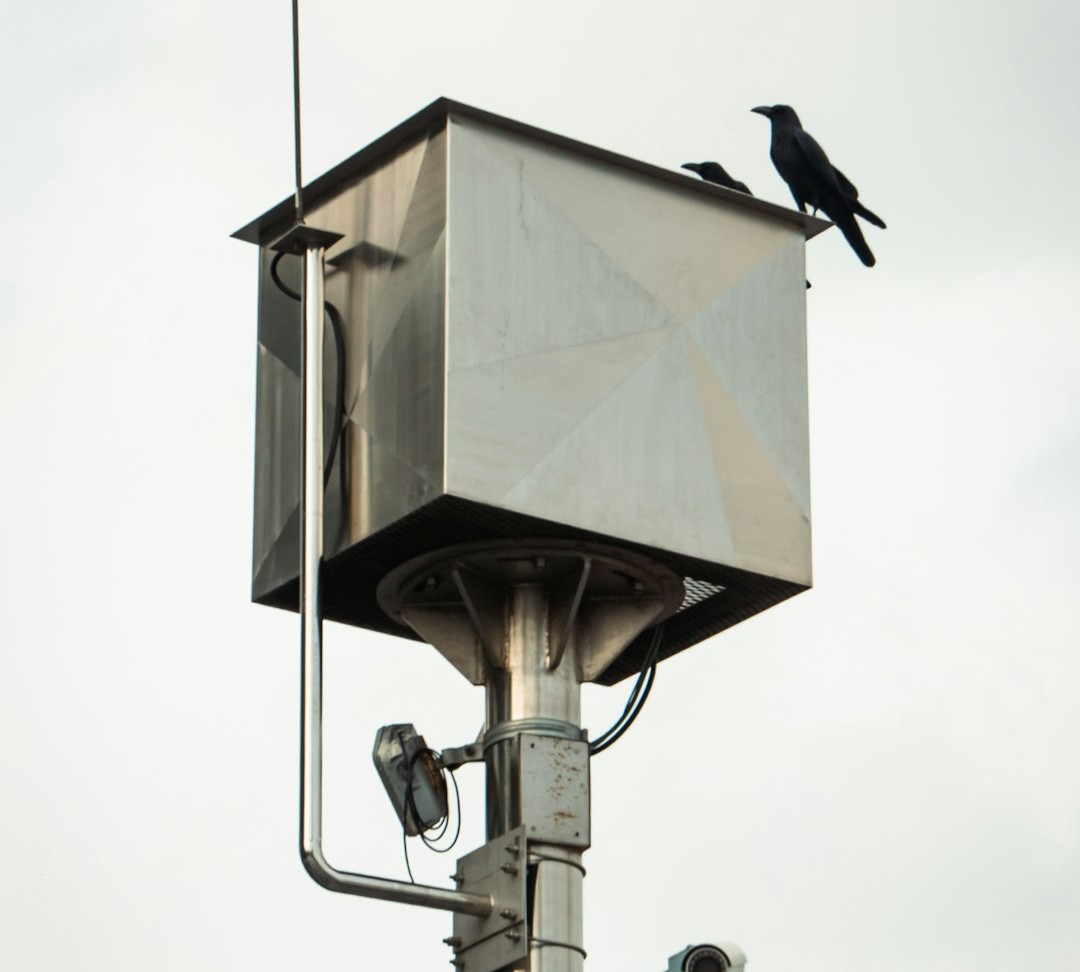 The Future Landscape: Sensors, Climate‑Smart Design, and Working Lands (Image Credits: Unsplash)