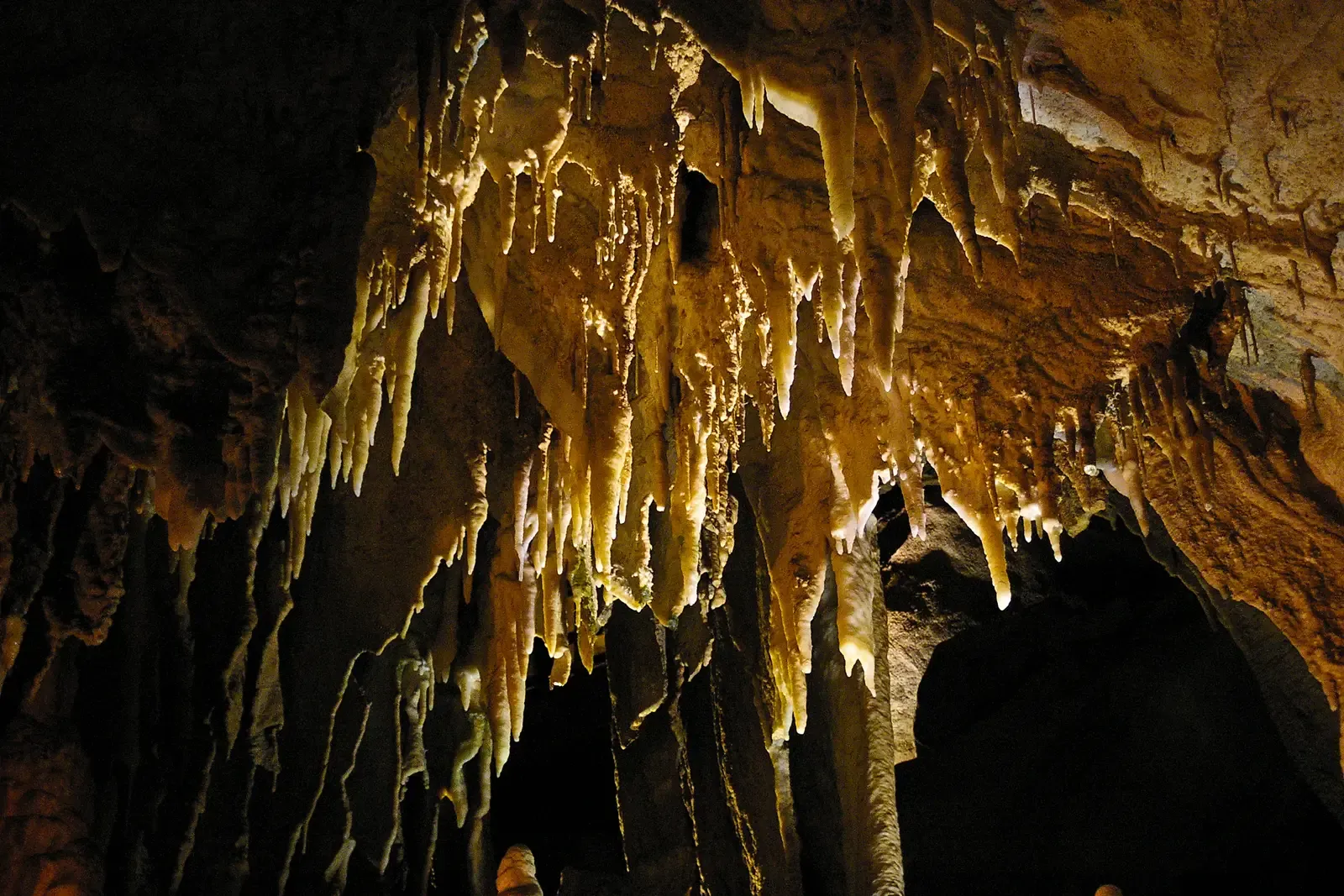 Mammoth Cave, Kentucky: The World’s Longest Known Cave System (Image Credits: Wikimedia)