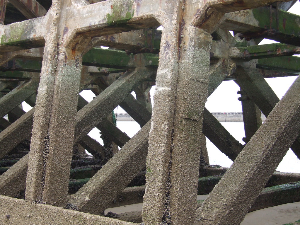 The Secret Ingredient Hidden in Plain Sight (Image Credits: Flickr)