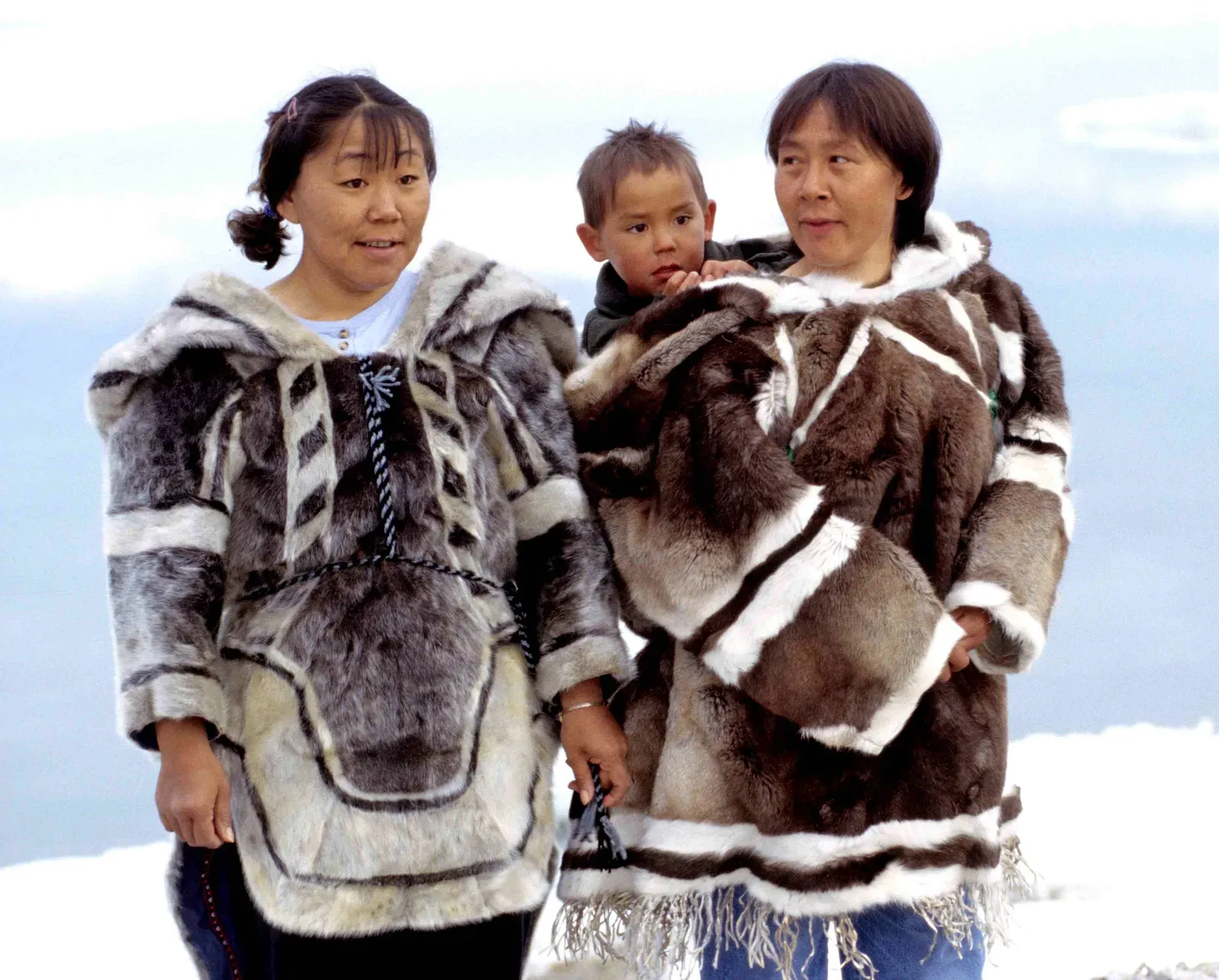 #14 - Stockier, Rounder Bodies (photo taken by Ansgar Walk, CC BY 2.5)