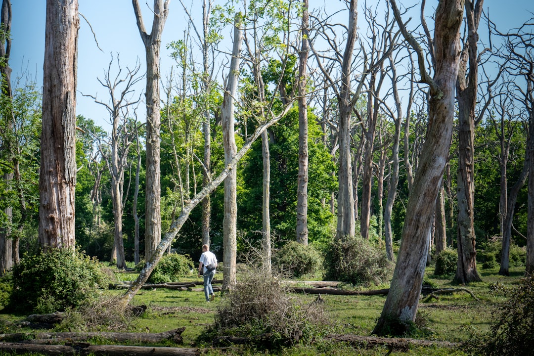 Climate Change Complicates Recovery (Image Credits: Unsplash)