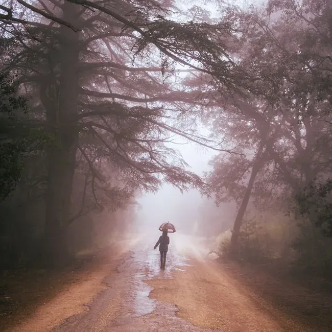 Introverts, Highly Sensitive People, and the Call of the Storm (Image Credits: Pexels)